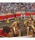 Bullring Bilbao. Vista Alegre