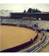 Écija, Sevilla Bullring