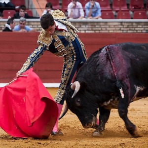 Bullfighter Rafael Reyes