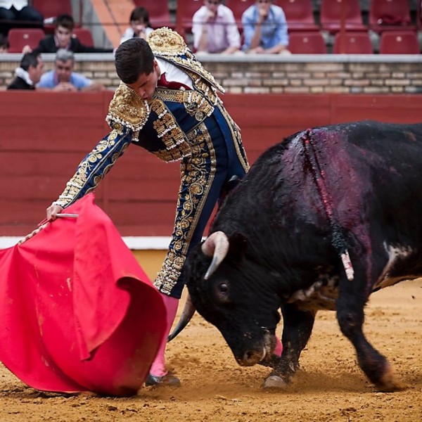 Bullfighter Rafael Reyes