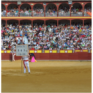 Ciudad Real. Plaza de toros