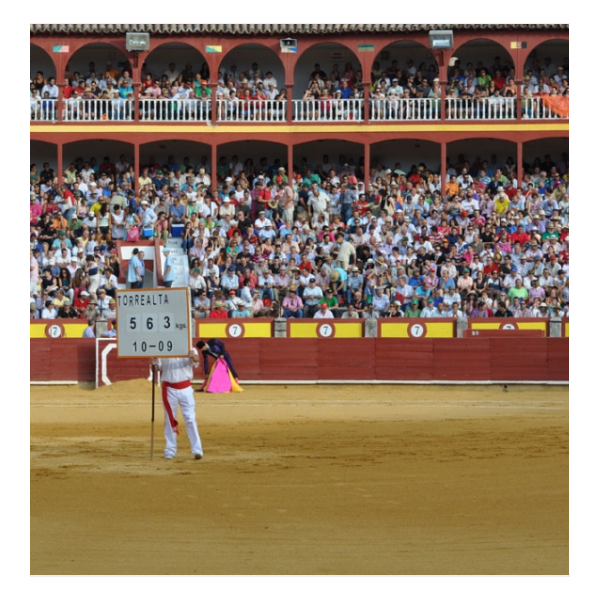 Ciudad Real. Plaza de toros