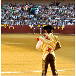 Ciudad Real. Plaza de toros