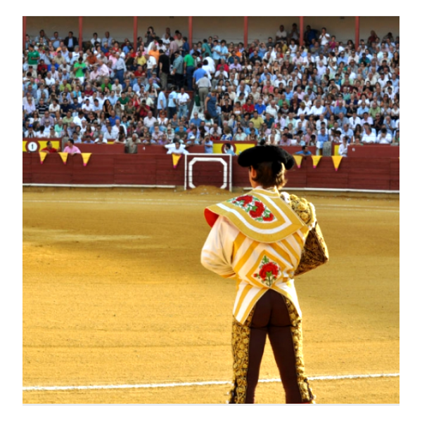 Ciudad Real. Plaza de toros