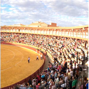 Ciudad Real. Plaza de toros