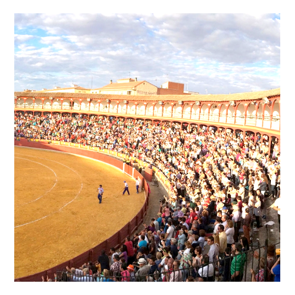Ciudad Real. Plaza de toros