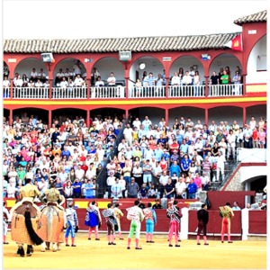 Ciudad Real. Plaza de toros