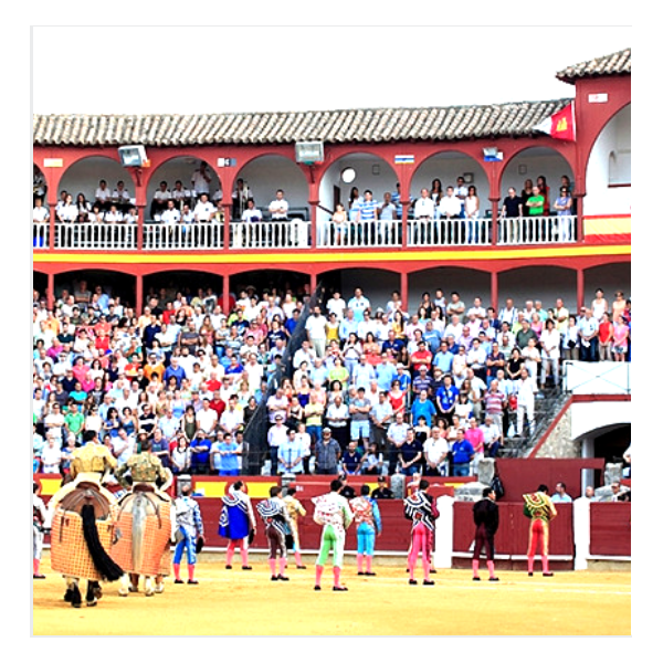 Ciudad Real. Bullring