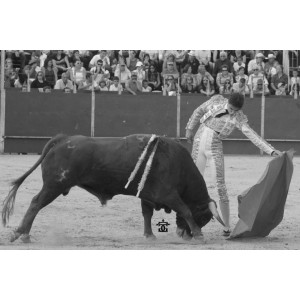 Torero Alejandro Gardel