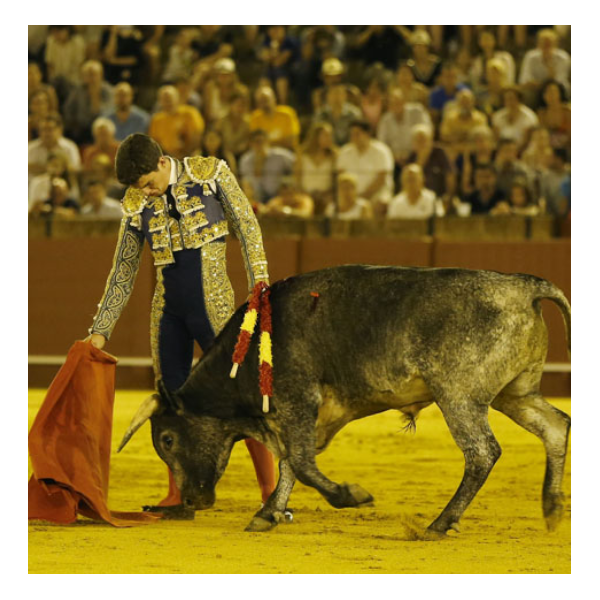 Javier Orozco