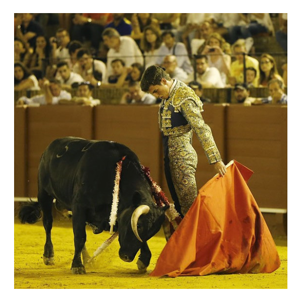 Javier Orozco