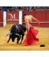 Javier Orozco