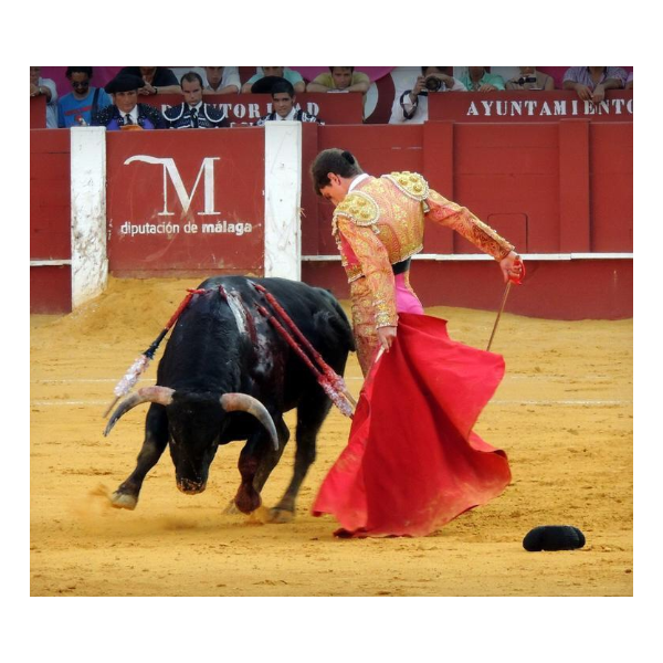 Javier Orozco