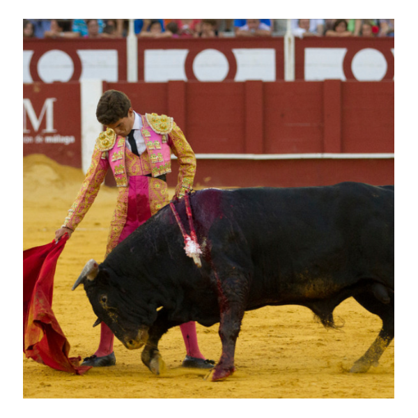 Javier Orozco