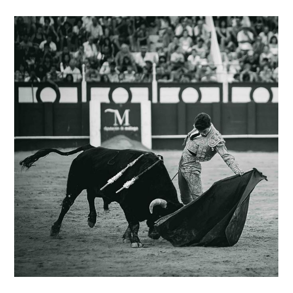 Javier Orozco
