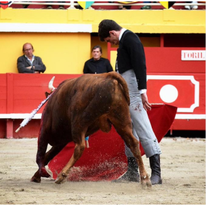 Javier Orozco