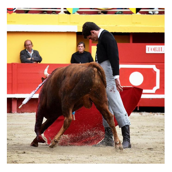 Javier Orozco