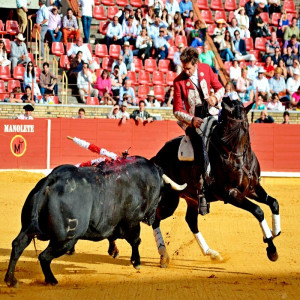 Pablo Hermoso de Mendoza