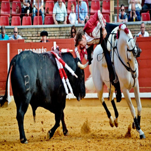 Pablo Hermoso de Mendoza