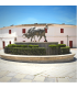 Plaza de Toros San Roque. Cádiz.