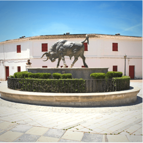 Plaza de Toros San Roque. Cádiz.