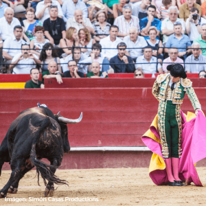 Román Collado