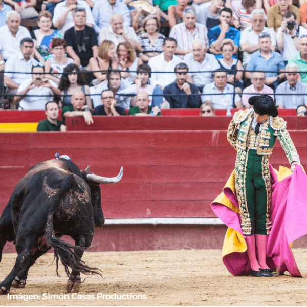 Román Collado