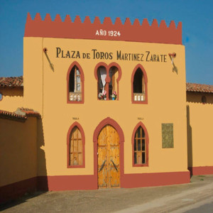 Valencia de Don Juan,Martínez Zárate. Plaza de Toros 