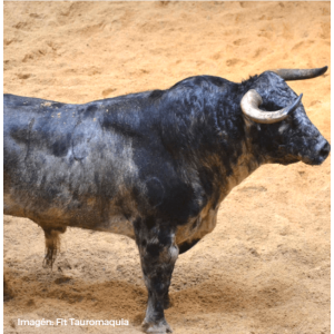 Hermanos Fraile Mazas