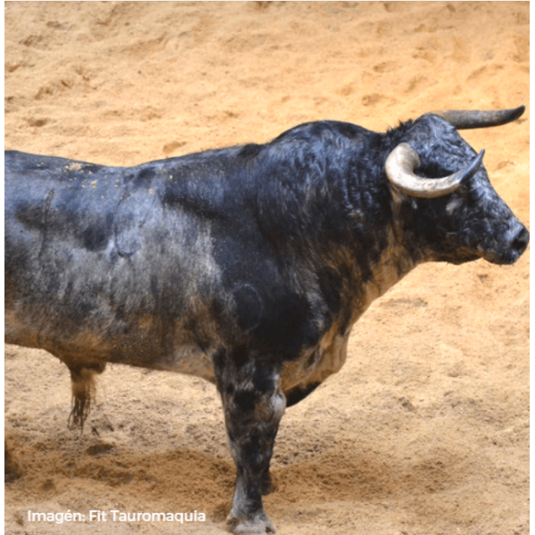 Hermanos Fraile Mazas