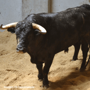 Hermanos Fraile Mazas