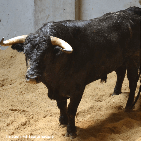 Hermanos Fraile Mazas