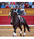 Lea Vicens