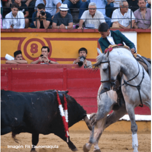Lea Vicens