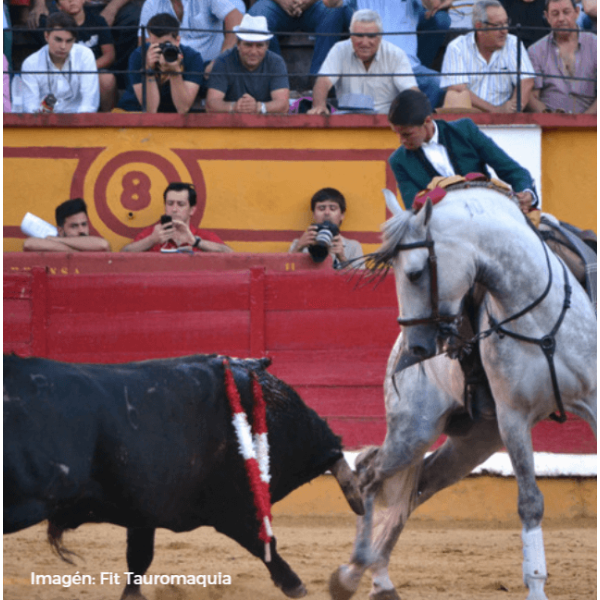Lea Vicens