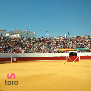 Plaza de toros de Aracena. Visita la plaza de toros con Servitoro