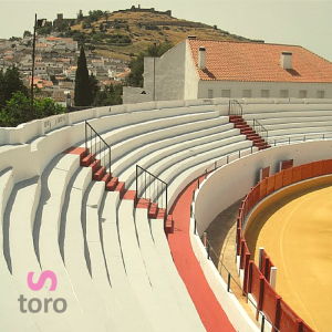 Plaza de toros de Aracena. Visita la plaza de toros con Servitoro