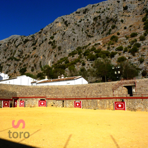 Villaluenga del Rosario. Plaza de toros   