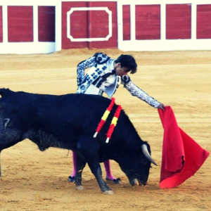 Bullfighter  Álvaro Passalacqua