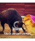 Bullfight ticket Segovia – Feria de San Juan y San Pedro | Servitoro.com