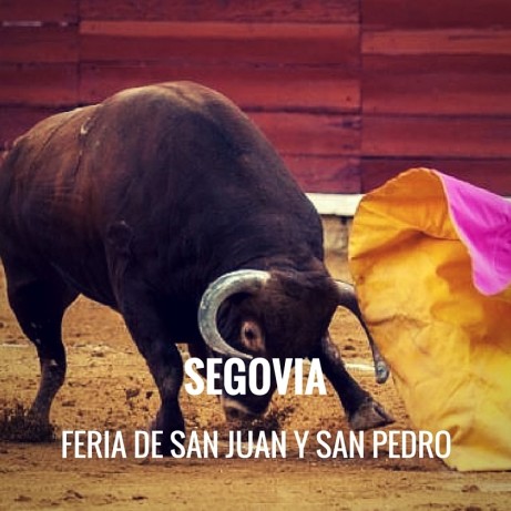 Entradas Toros Segovia - Feria de San Juan y San Pedro | Servitoro.com