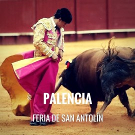 Bullfight tickets Palencia – Feria de San Antolín