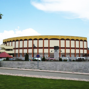 San Martin de Valdeiglesias, Plaza de Toros. 