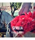 Bullfight tickets Sevilla - Feria de Abril