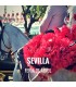 Bullfight tickets Sevilla - Feria de Abril