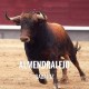 Entradas Toros Almendralejo - Temporada taurina