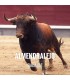 Entradas Toros Almendralejo - Feria y Fiestas de la Piedad