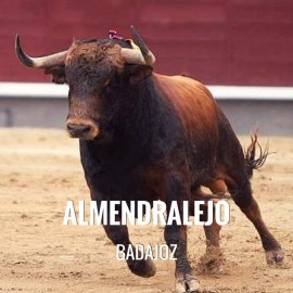 Bullfight tickets Almendralejo - Bullfighting season