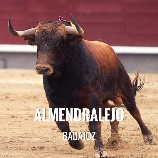 Bullfight tickets Almendralejo - Feria y Fiestas de la Piedad