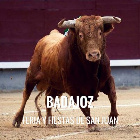 Bullfight tickets Badajoz - Feria de San Juan